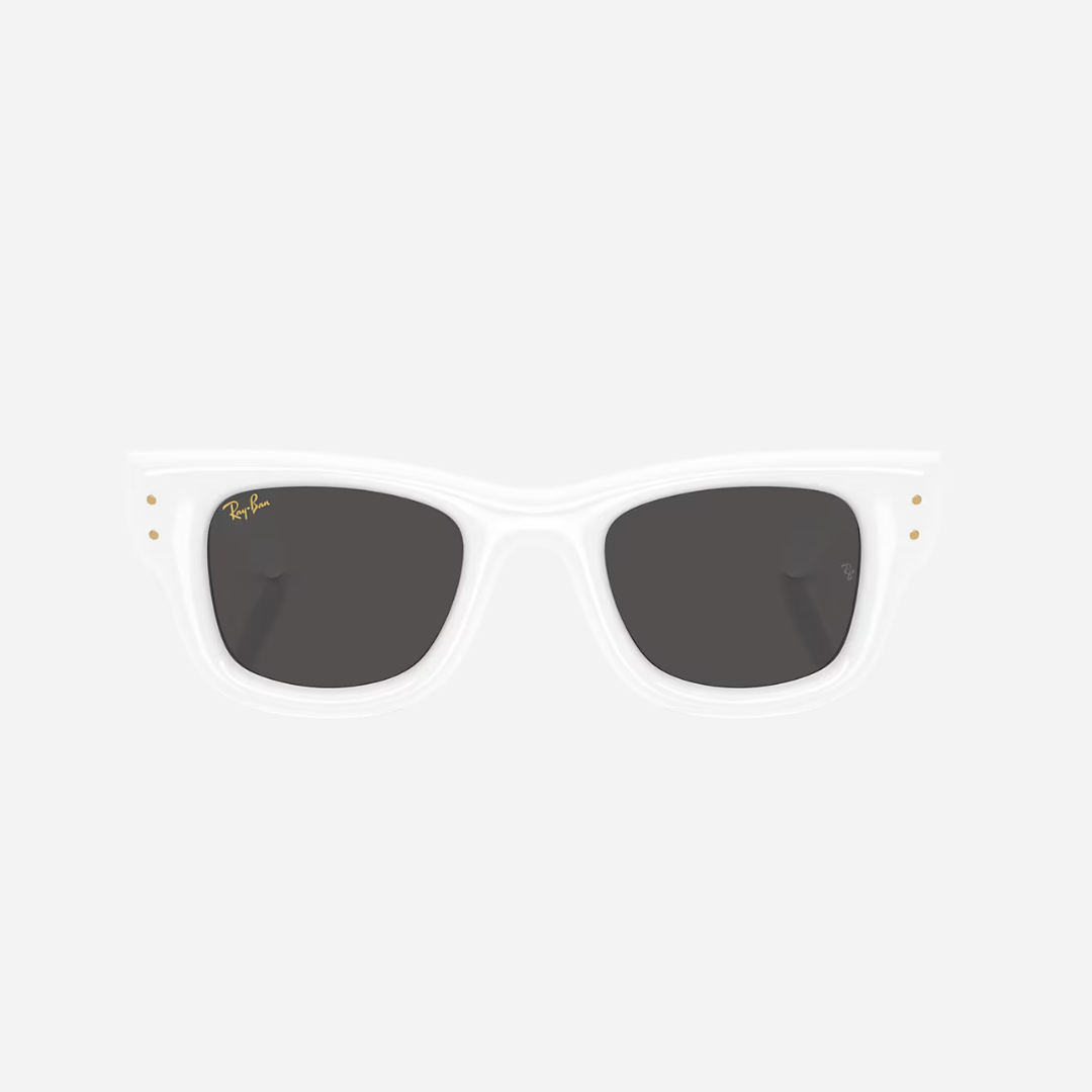 RayBan Wayfarer Puffer